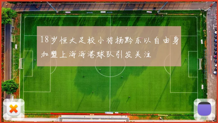 18岁恒大足校小将杨黔东以自由身加盟上海海港球队引发关注